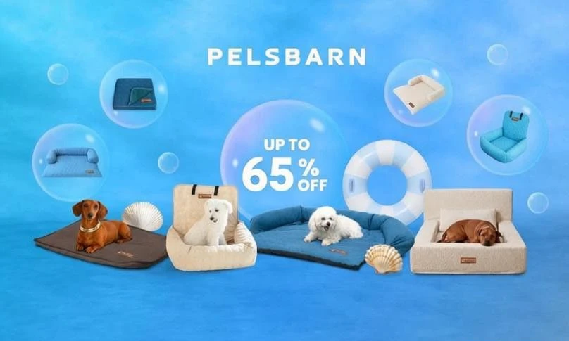 Premium Comfort, Rescuing Lives
