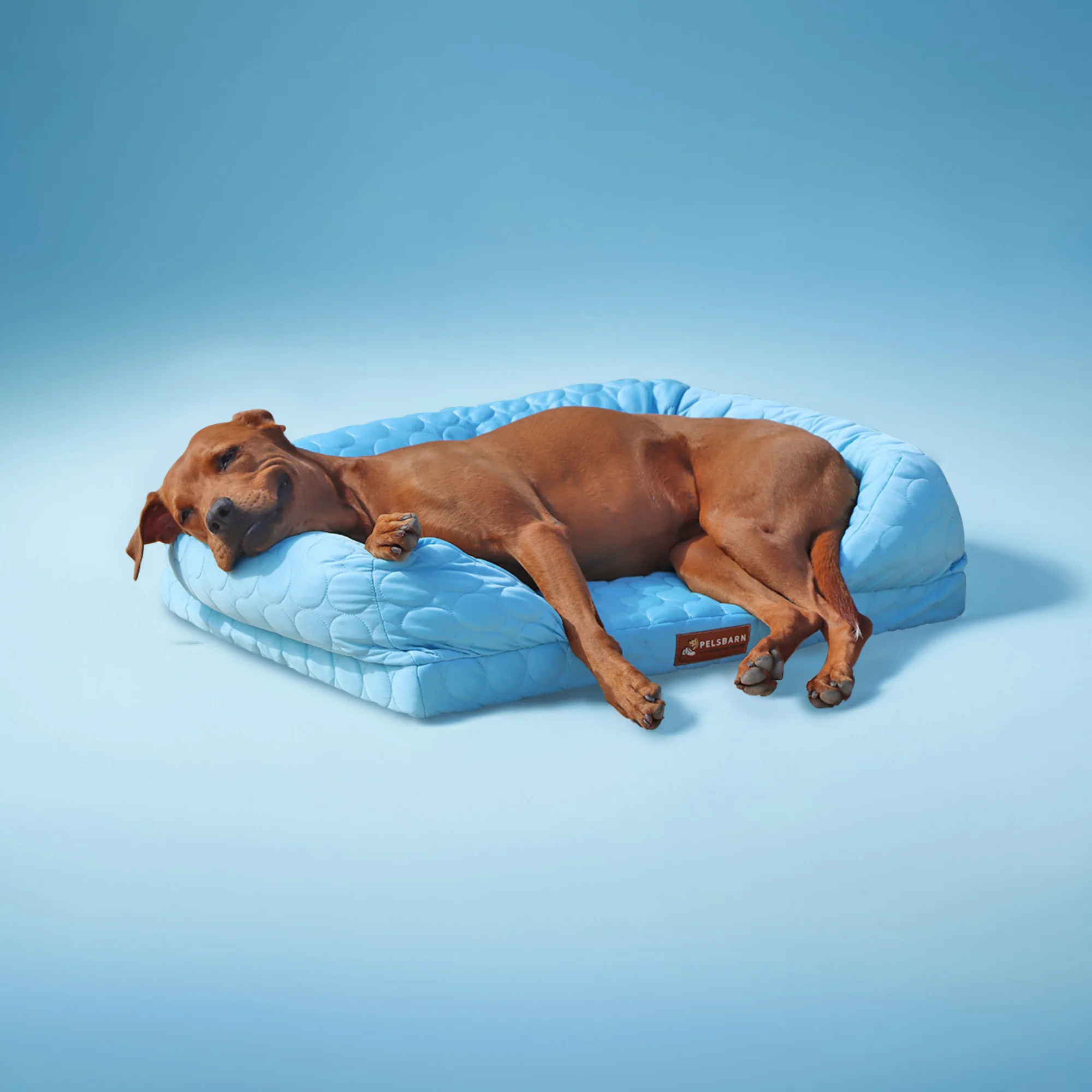 COOLING ORTHOPEDIC